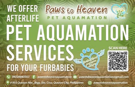 paws quezon city|Paws to Heaven .